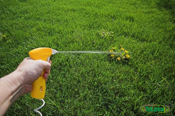 How Much Grass Killer Sprayers Are Shared in the World Import?