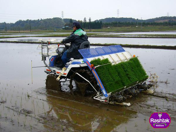 What Steps Lead You to a Great Deal with Rice Planting Machine Supplier?