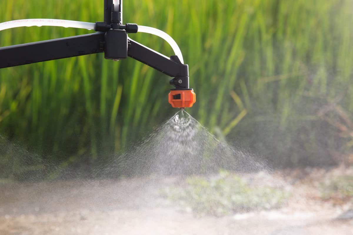 The best agriculture Pump sprayer+Great purchase price 