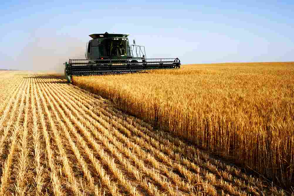  Agricultural Supply Business Plan for Companies 