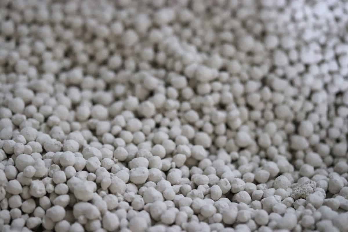  Ammonium Sulfate Fertilizer in Pakistan; 2 Types Solid Liquid Contains Nitrogen Sulfur 