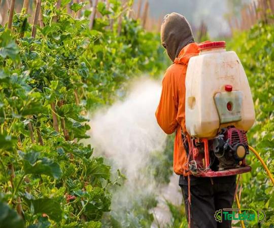 Purchase and price of milwaukee poison sprayer types