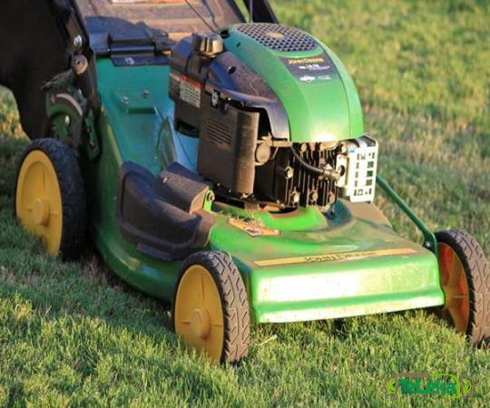 Toro lawn mower purchase price + specifications, cheap wholesale