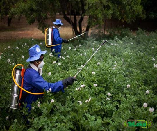 Which is the best poison sprayer? + Complete comparison great price