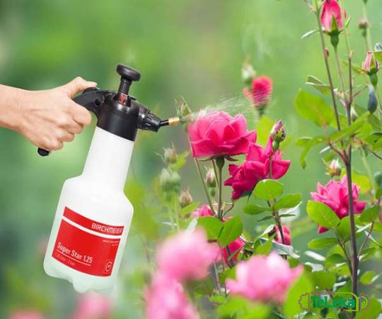 The best price to buy makita poison sprayer anywhere