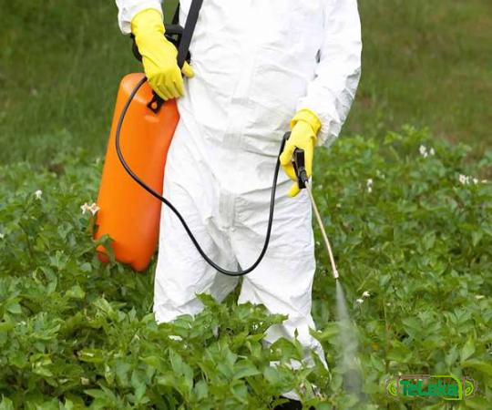 The price and purchase types of stihl poison sprayer